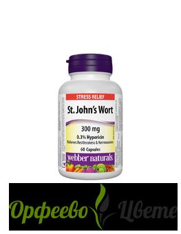 ХРАНИТЕЛНИ ДОБАВКИ Безсъние и стрес  St. John’s Wort Жълт кантарион 300 mg, 60 капсули 